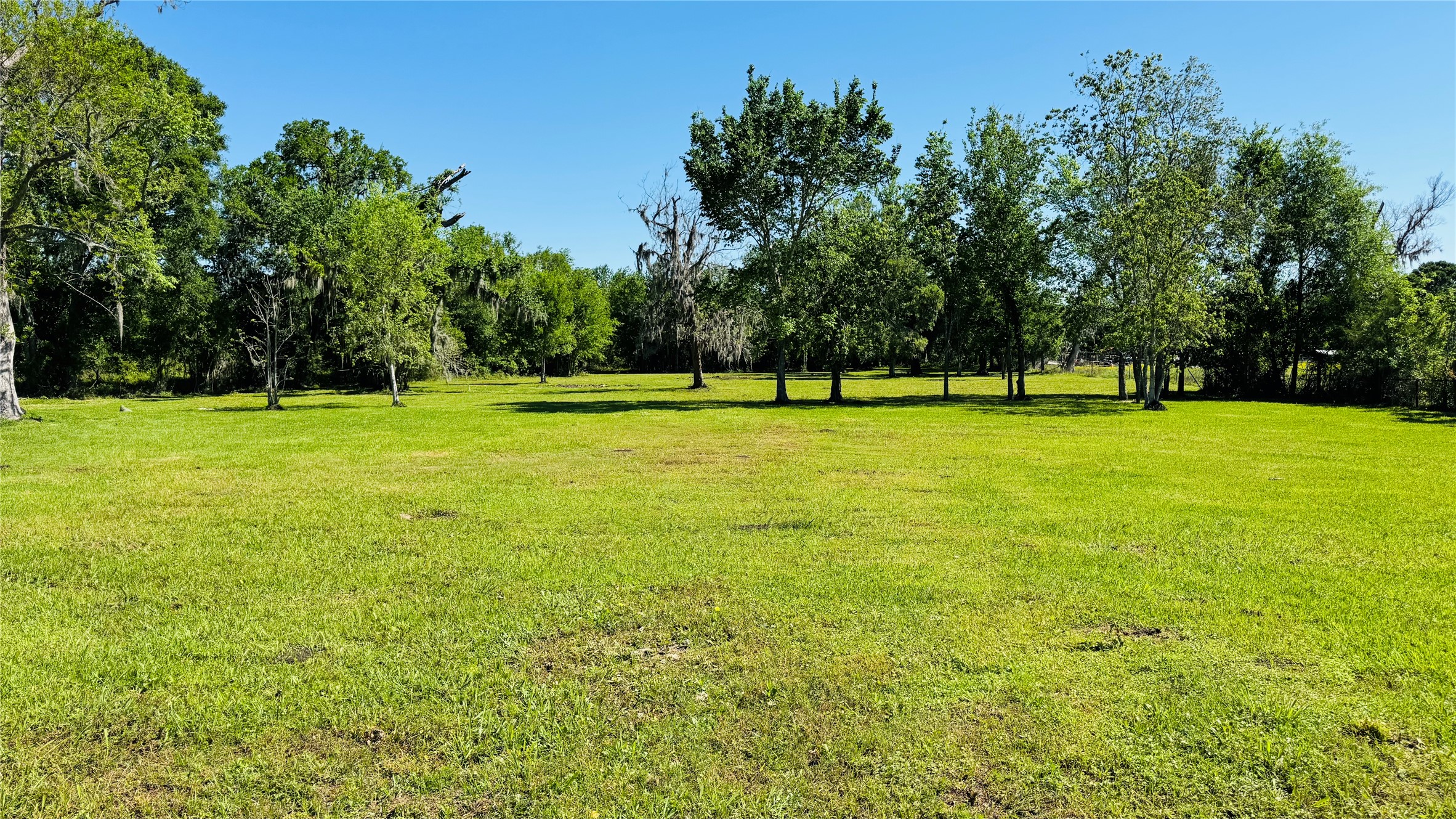 1434 County Road 878A Sweeny, TX 77480 - Photo 10 of 36 a view of a big yard with a trees