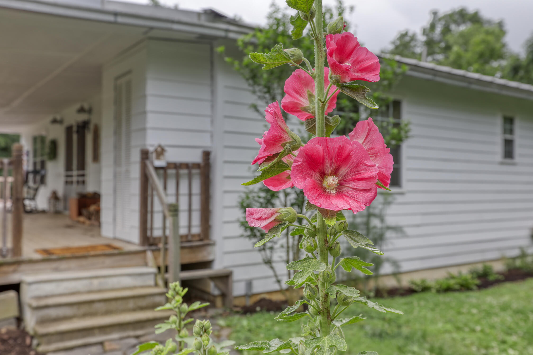 1010 Hartman Road Greeneville, TN 37743 - Photo 9 of 49 Brown. 1010 Hartman Rd. Gvl MLSb (38 of