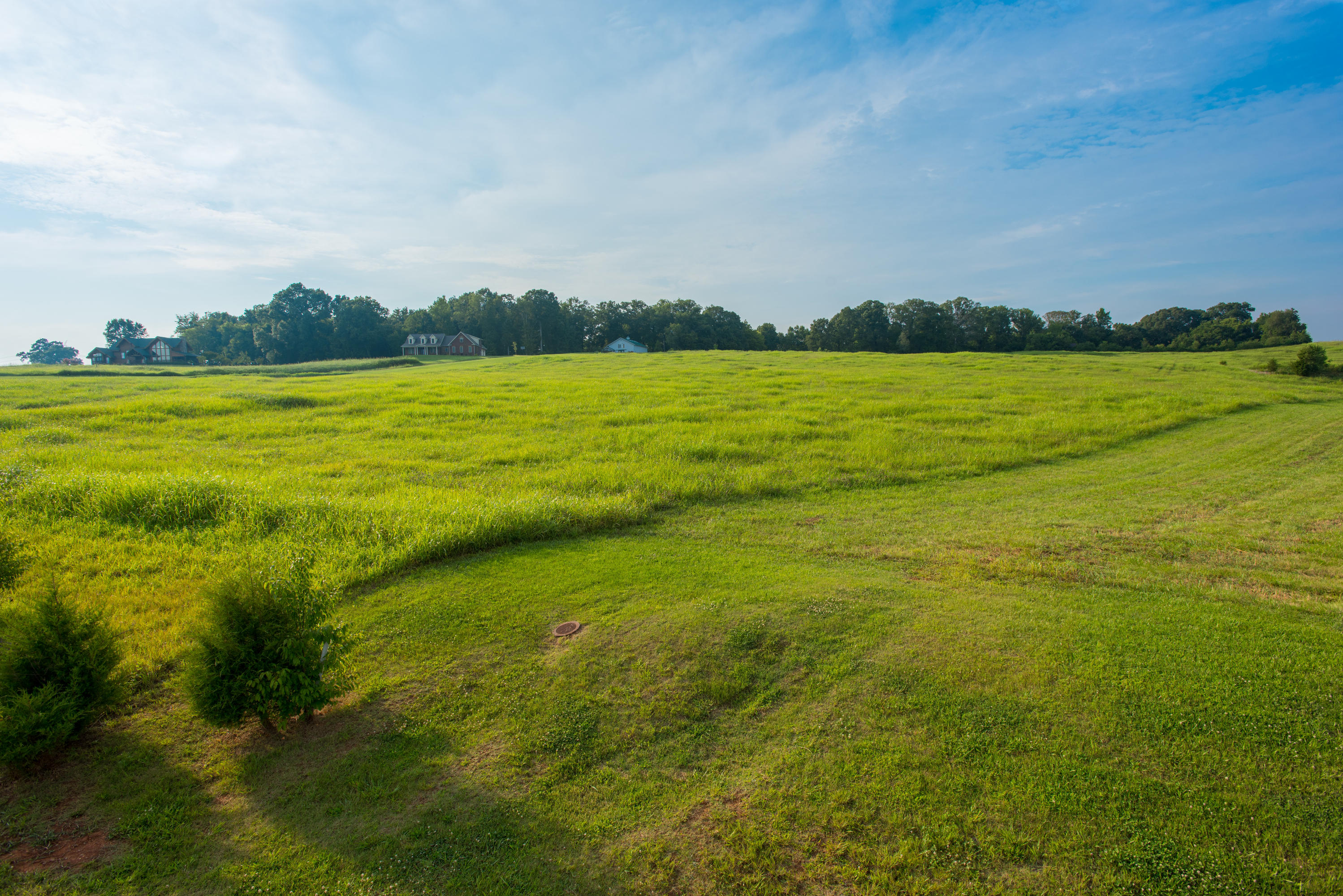 424 Ranch Road Blaine, TN 37709 - Photo 4 of 8 View from road