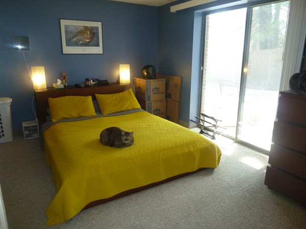 1186 Worcester Road, Unit 610 Framingham, MA 01702 - Photo 6 of 9 a bed sitting in a bedroom next to a window