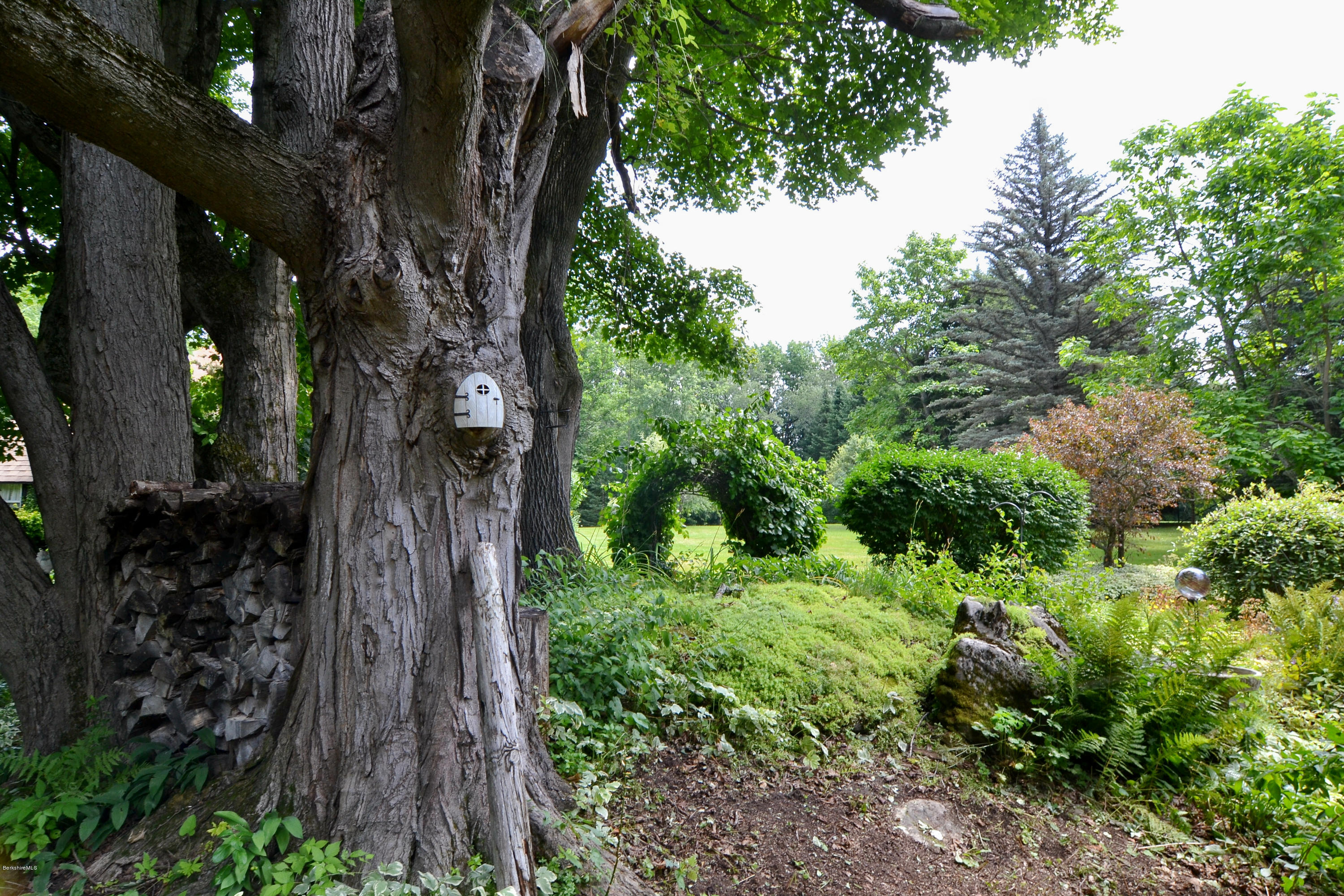 1691 Dublin Road Richmond, MA 01254 - Photo 3 of 35 a view of a tree in a garden