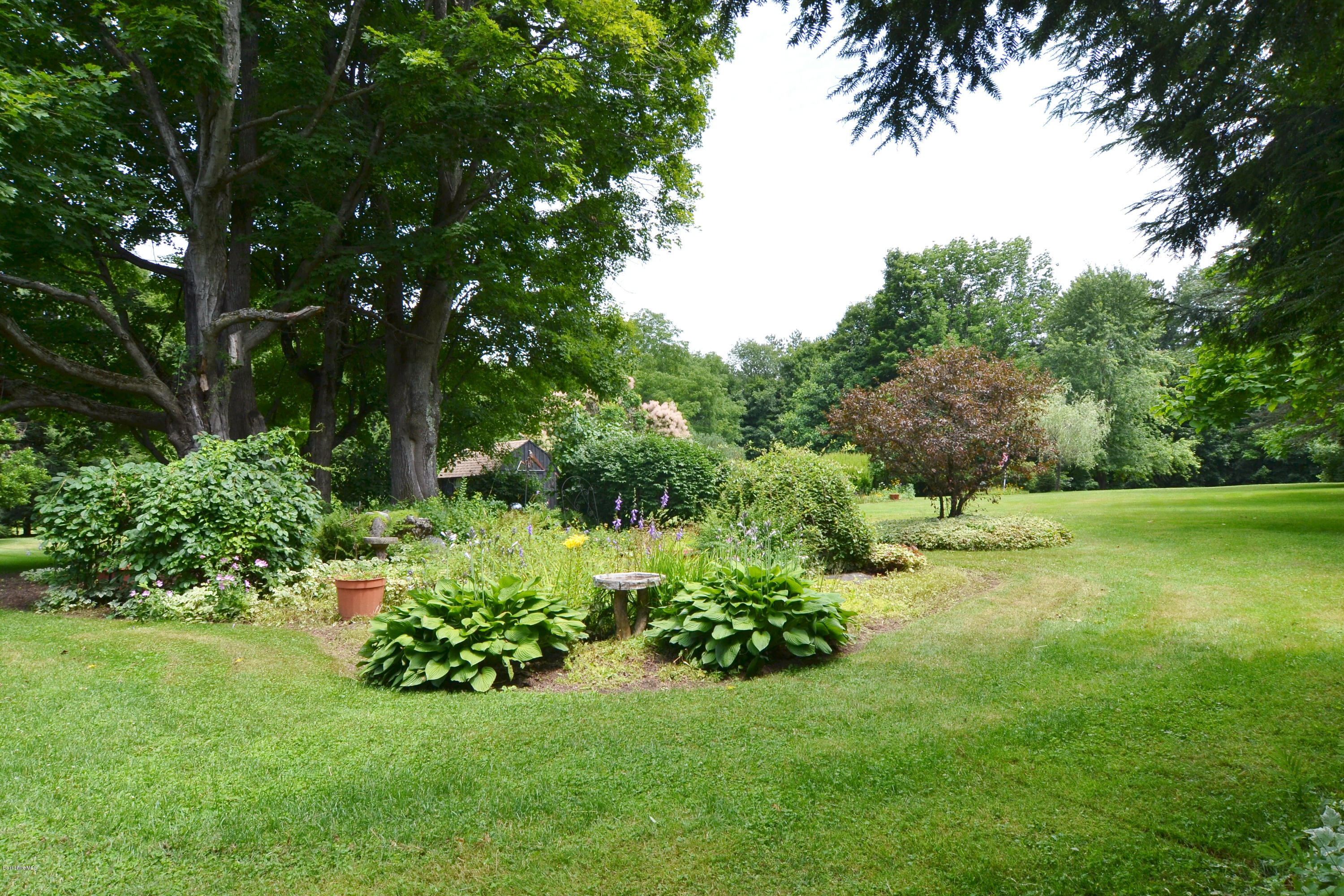 1691 Dublin Road Richmond, MA 01254 - Photo 32 of 35 a view of a garden with a tree