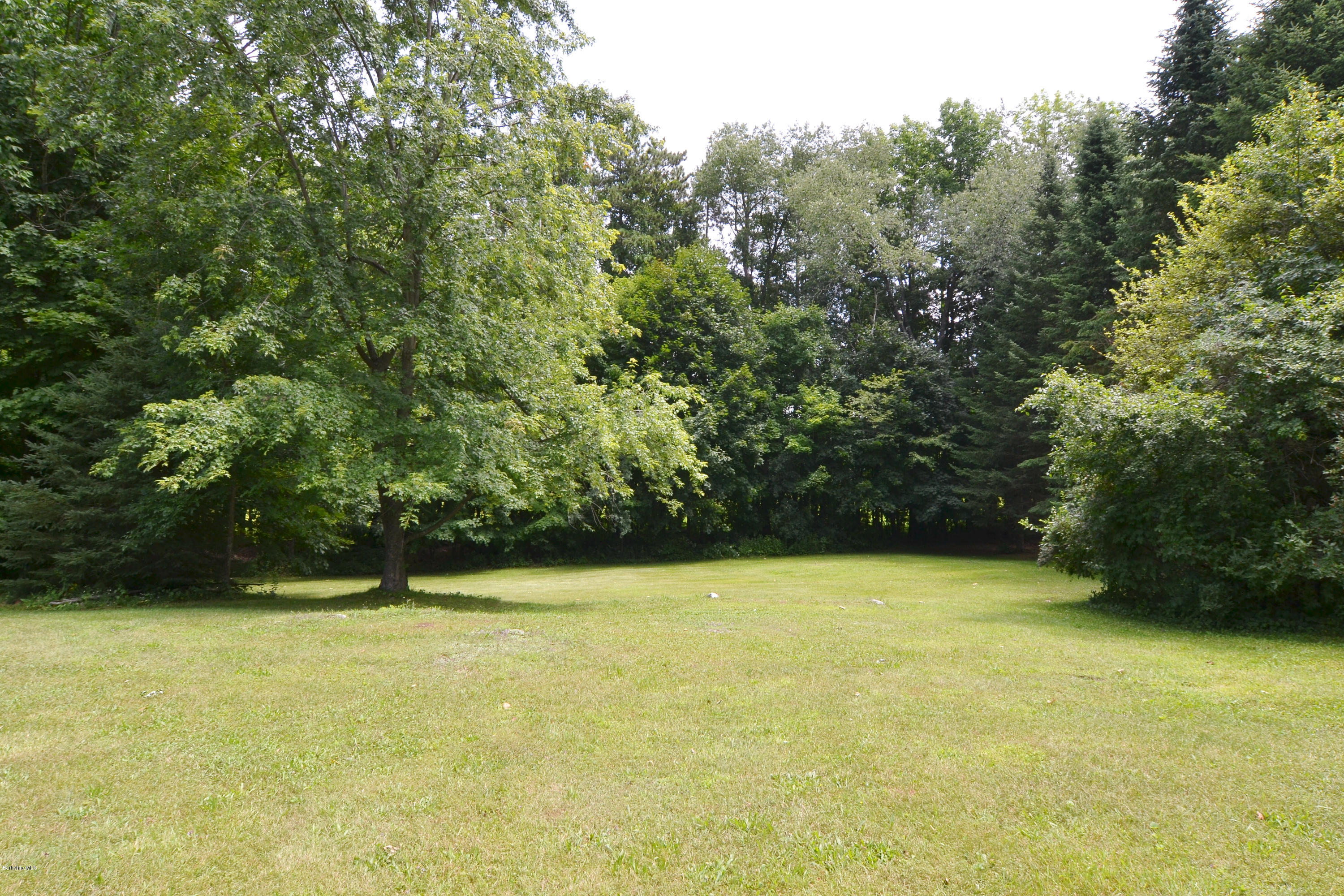 1691 Dublin Road Richmond, MA 01254 - Photo 8 of 35 a view of a yard with a bench