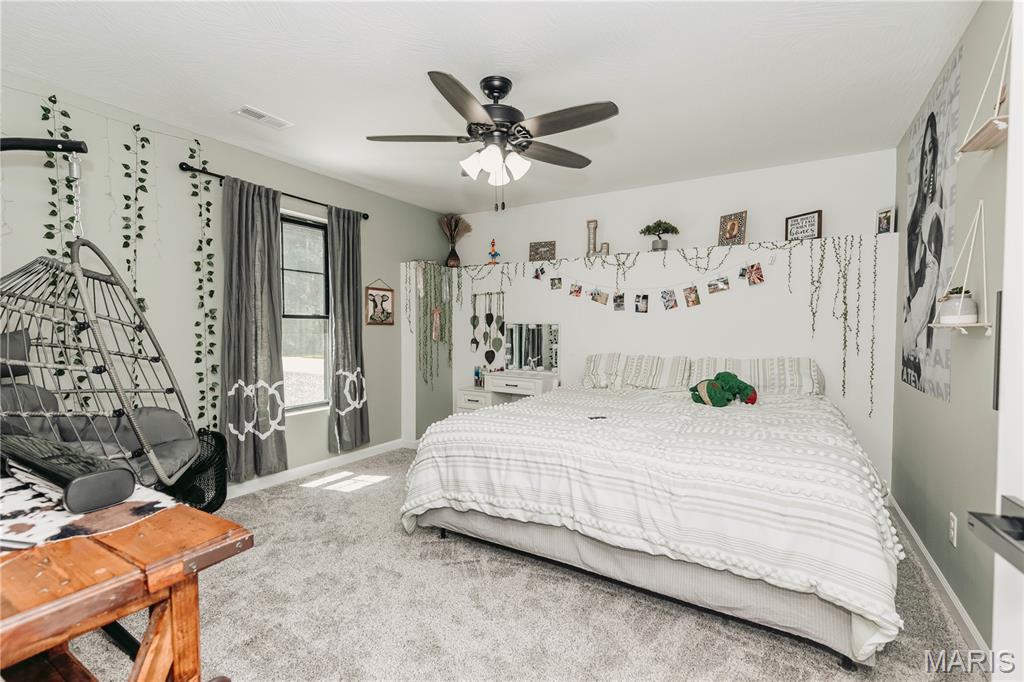 14946 Colorado Road Dixon, MO 65459 - Photo 62 of 95