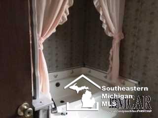 11515 Day Road Dundee, MI 48131 - Photo 5 of 9 Gallery Image 5