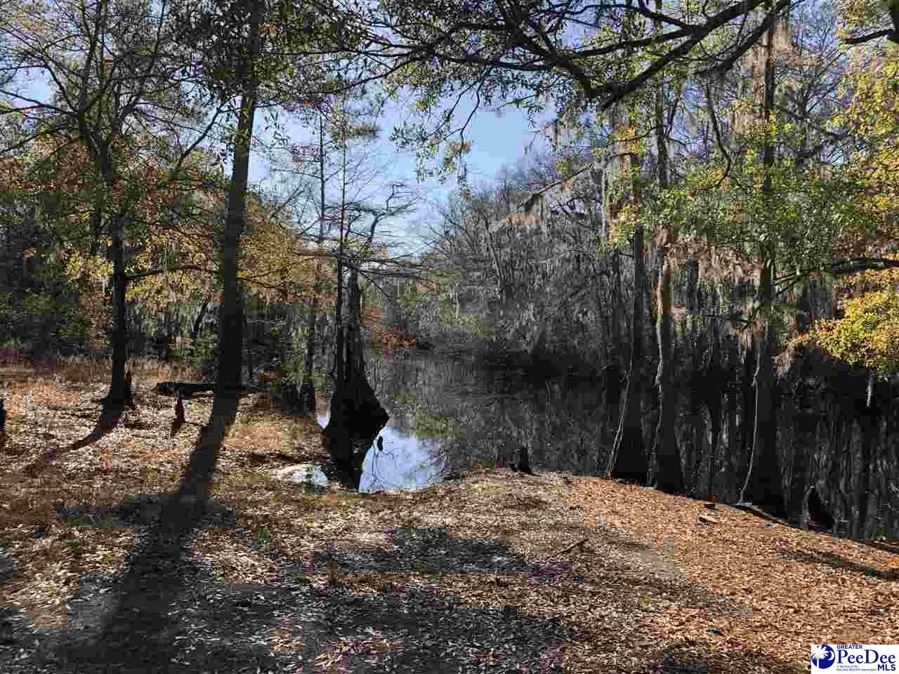 418.97-acres Rabbit Island Road Lake View, SC 29563 - Photo 1 of 1 Gallery Image 1