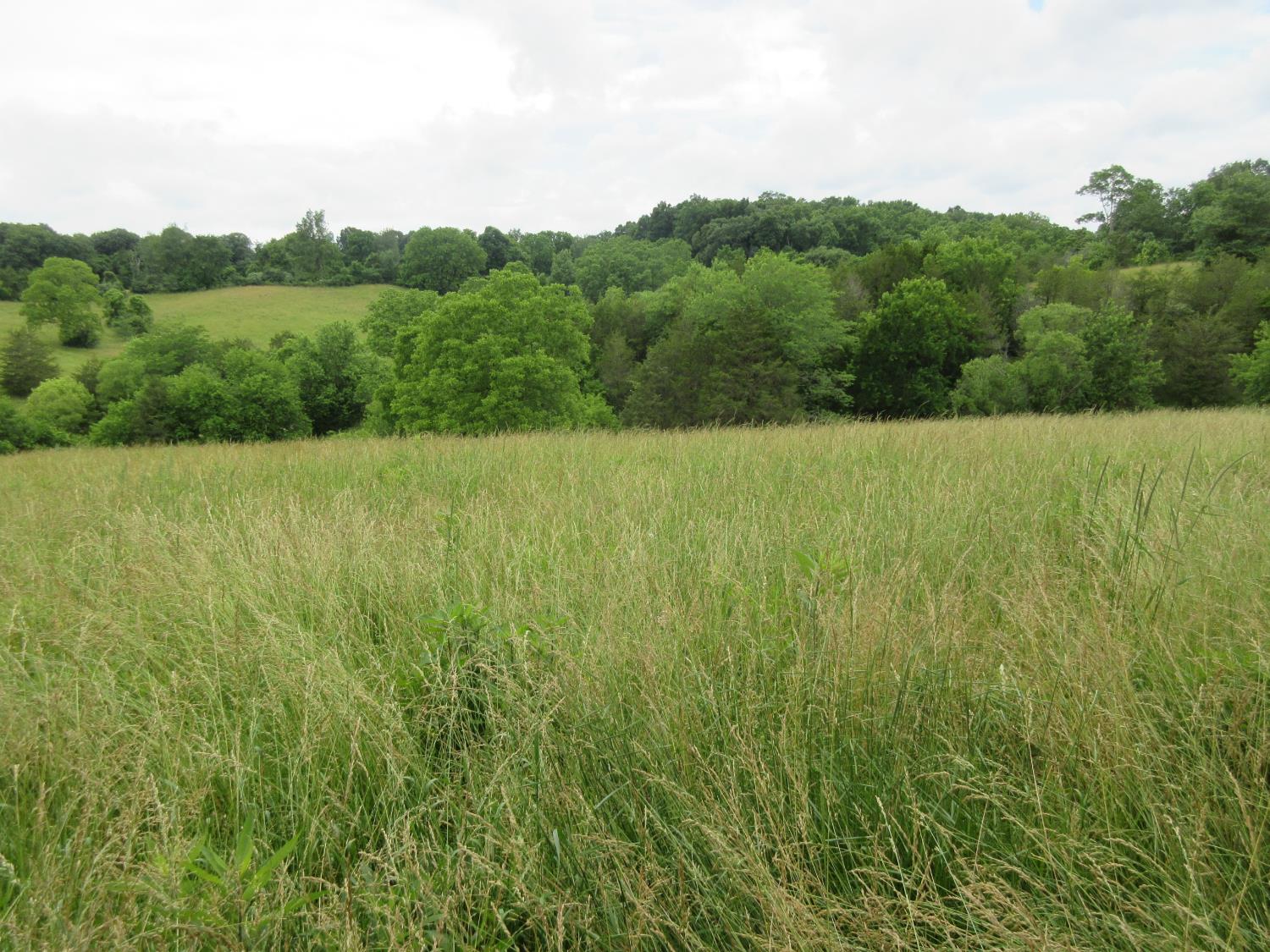 0 Dewitt Road Moores Hill, IN 47032 - Photo 4 of 10