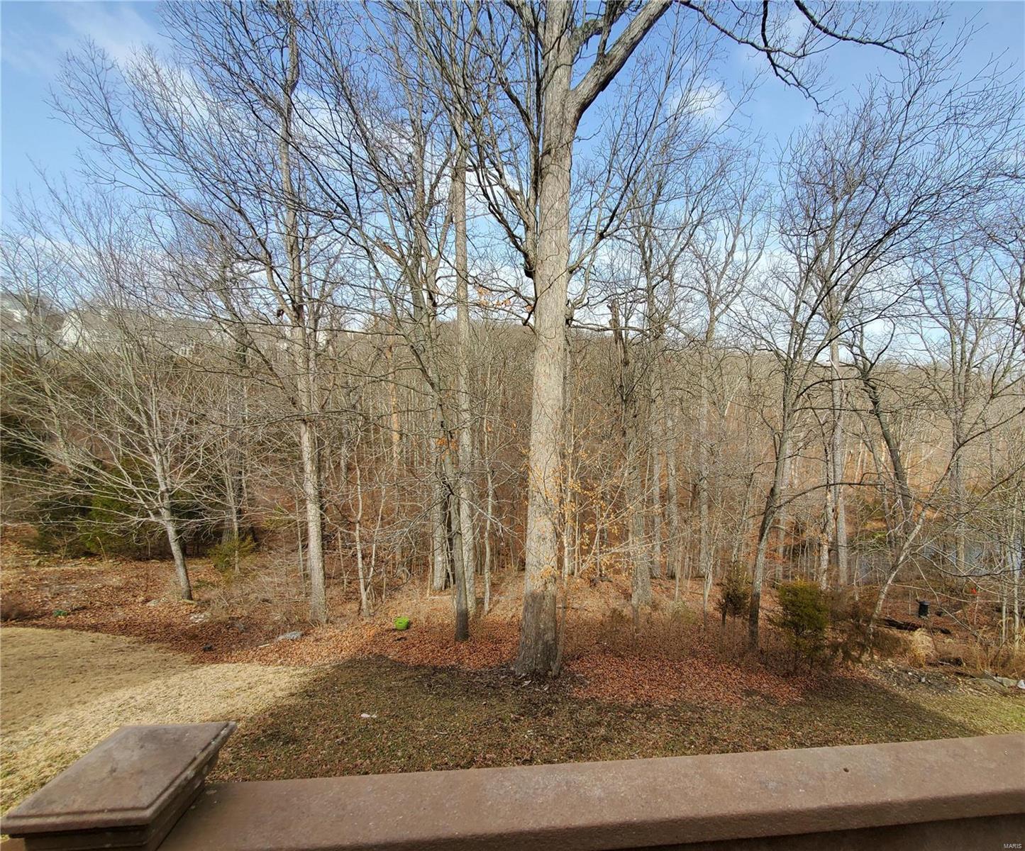 31 Upper Bluffs View Court Eureka, MO 63025 - Photo 38 of 44