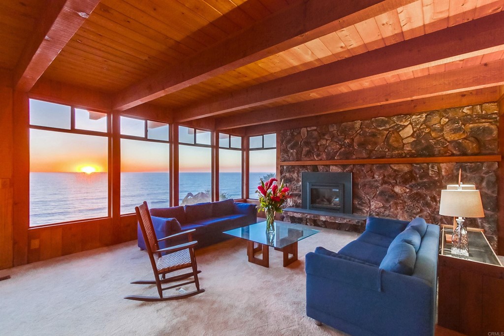 1236 Neptune Avenue Encinitas, CA 92024 - Photo 11 of 40 a outdoor living space with furniture a rug and a potted plant