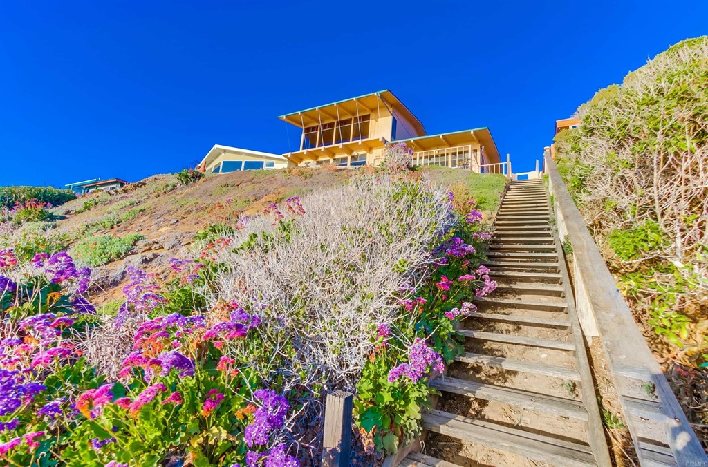1236 Neptune Avenue Encinitas, CA 92024 - Photo 30 of 40 a view of a bunch of flowers