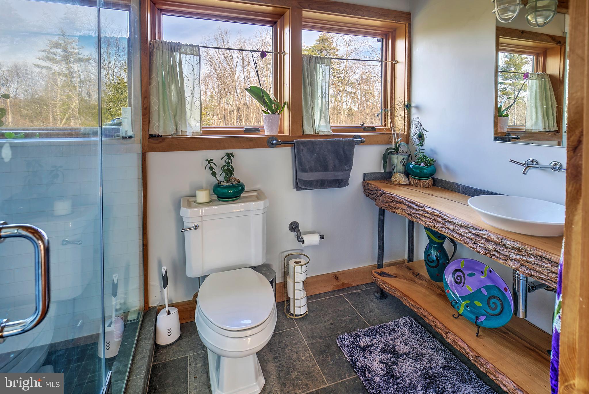 266 Province Line Road Skillman, NJ 08558 - Photo 53 of 71 a bathroom with a toilet sink and mirror