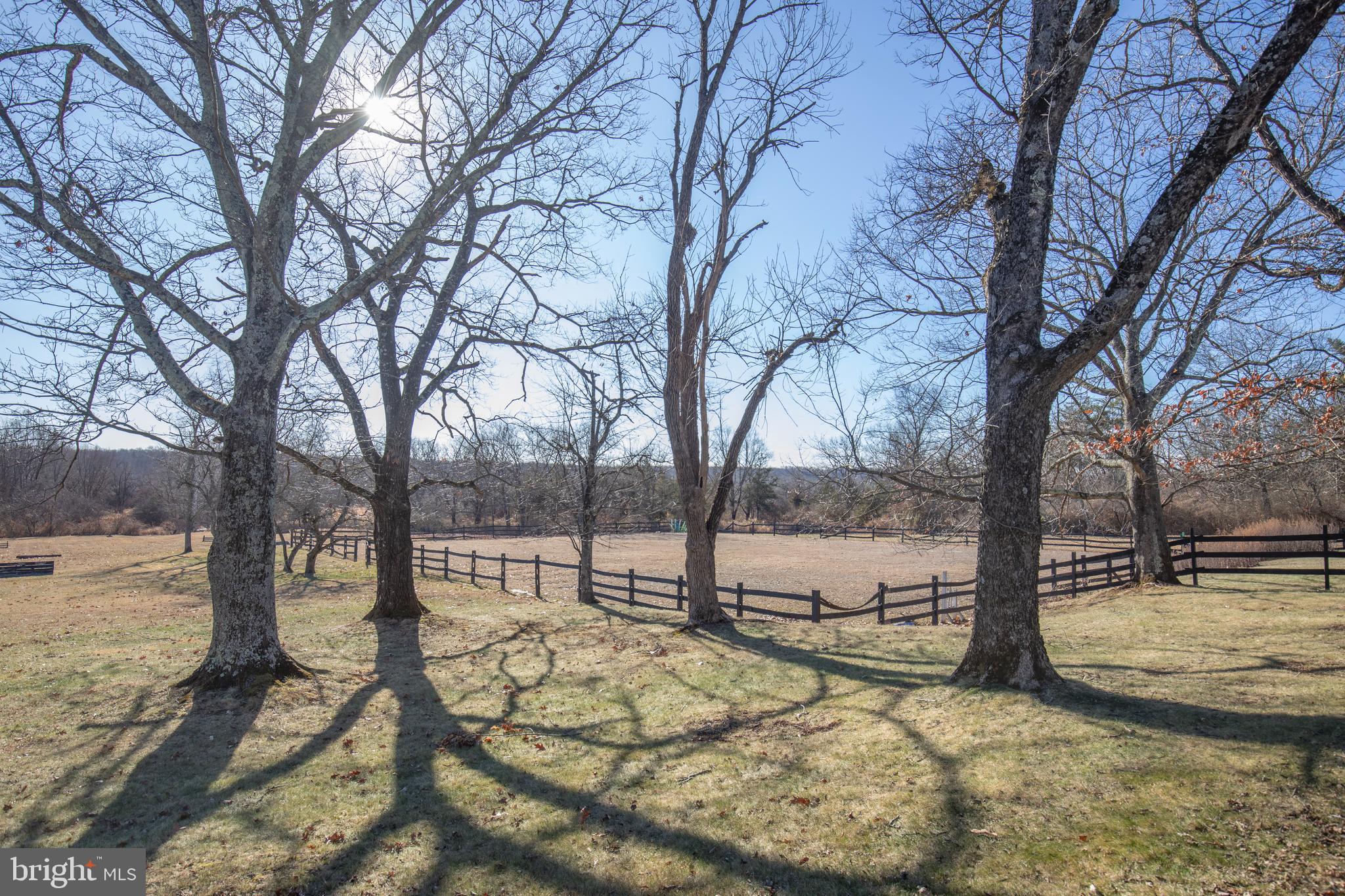 266 Province Line Road Skillman, NJ 08558 - Photo 63 of 71 a view of a yard with trees in the background