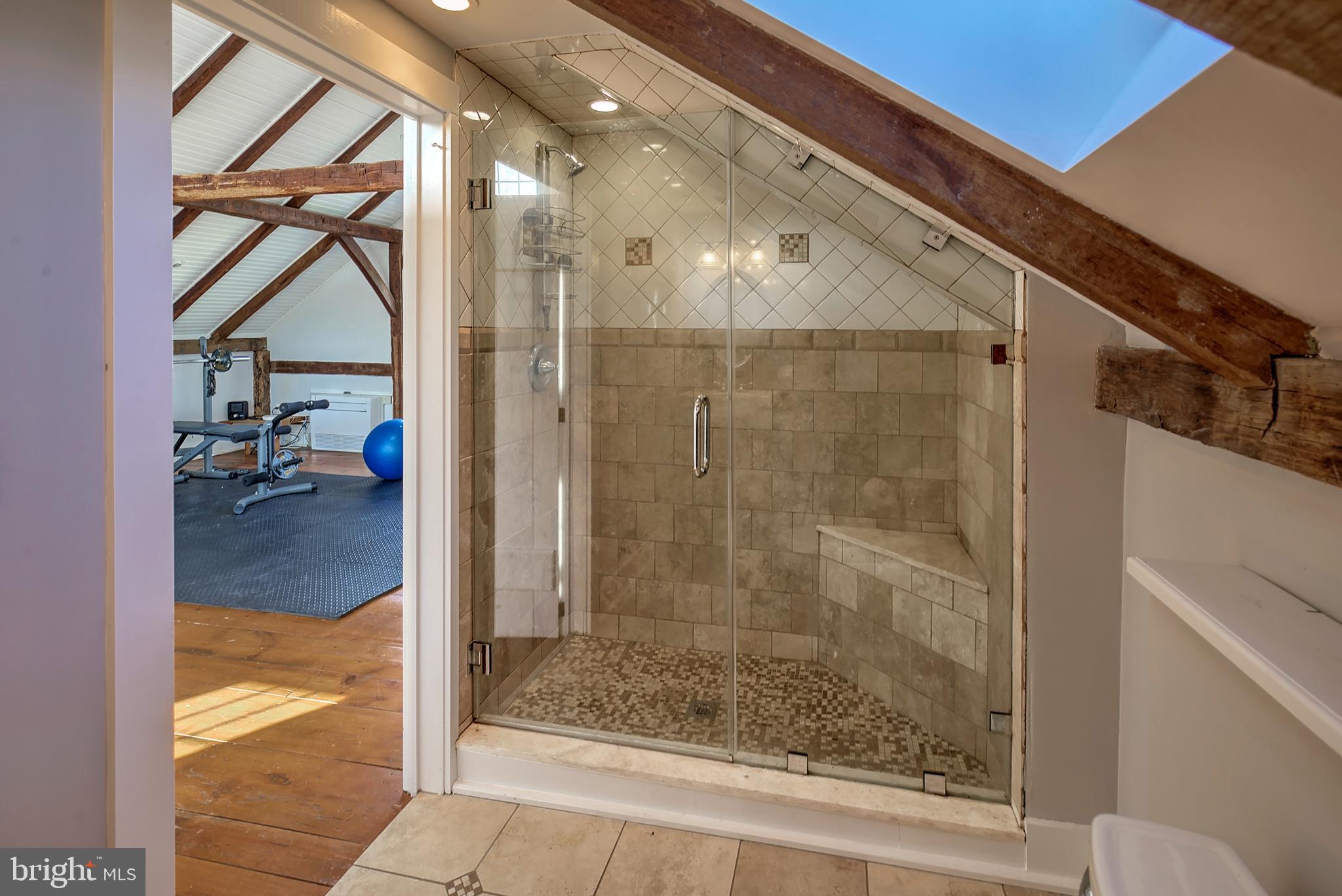 266 Province Line Road Skillman, NJ 08558 - Photo 70 of 71 a bathroom with a glass shower door and a window