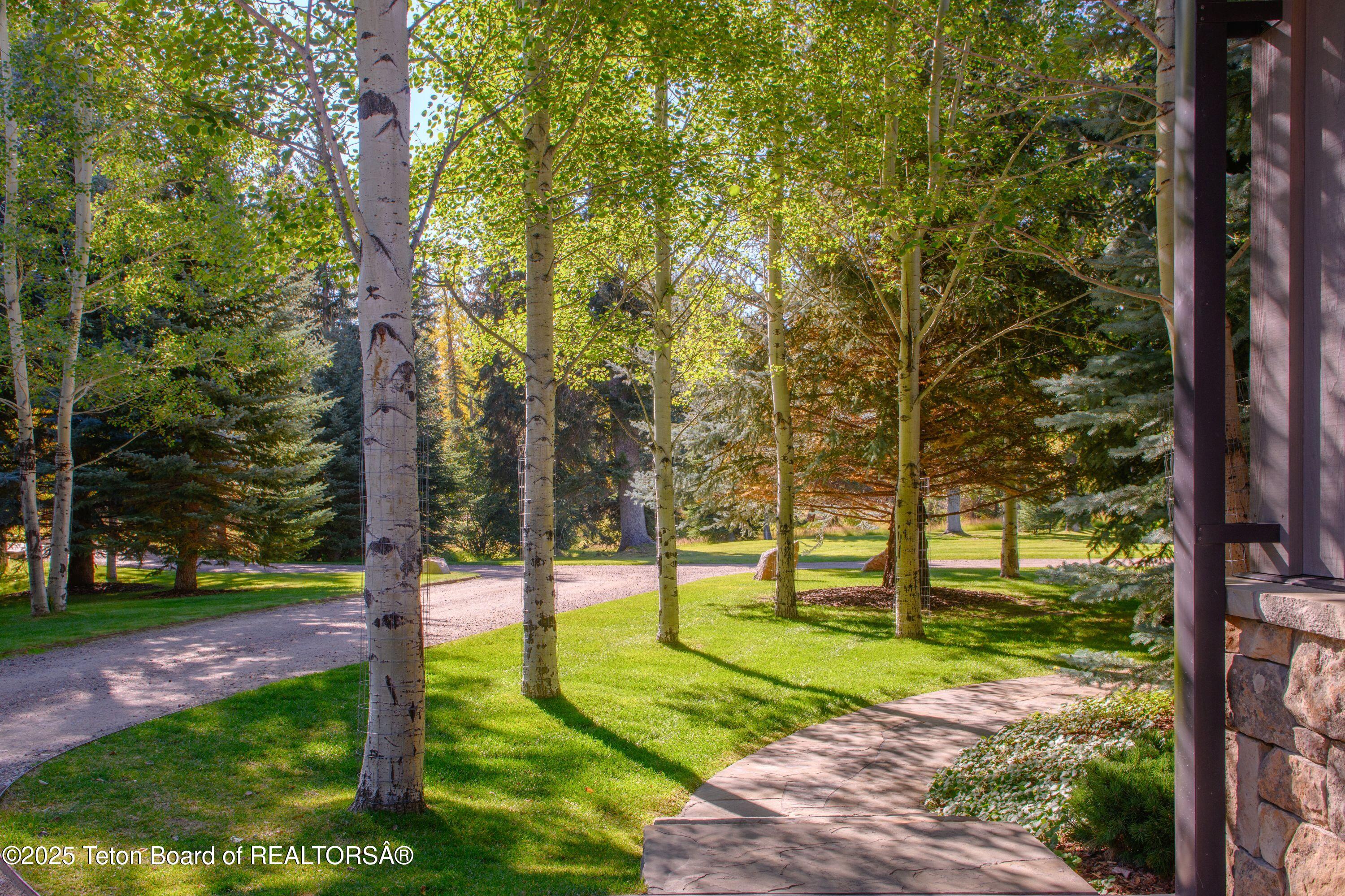 7555-7565 North Bar B Bar River Road Jackson, WY 83001 - Photo 40 of 59 Landscaped Yard