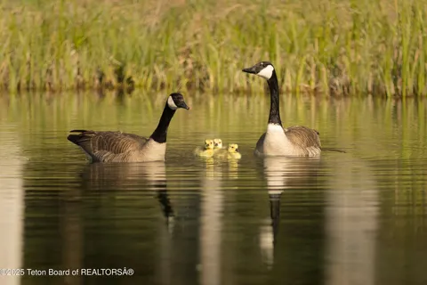 $43,000,000 | 7555-7565 North Bar B Bar River Road, Jackson, WY 83001