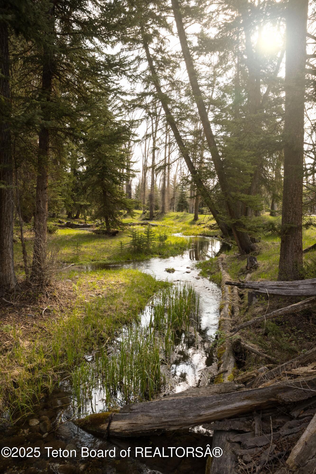 7555-7565 North Bar B Bar River Road Jackson, WY 83001 - Photo 5 of 59 Sunlit Stream