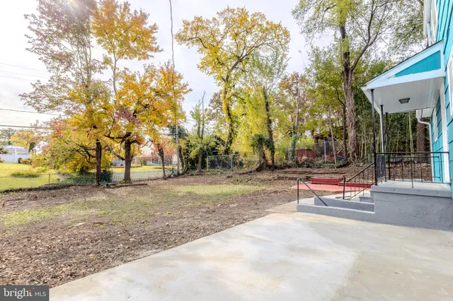 a view of a park with bench and trees