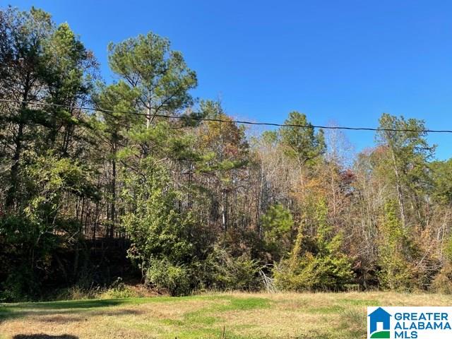 245 Highway 467 Vincent, AL 35178 - Photo 21 of 27