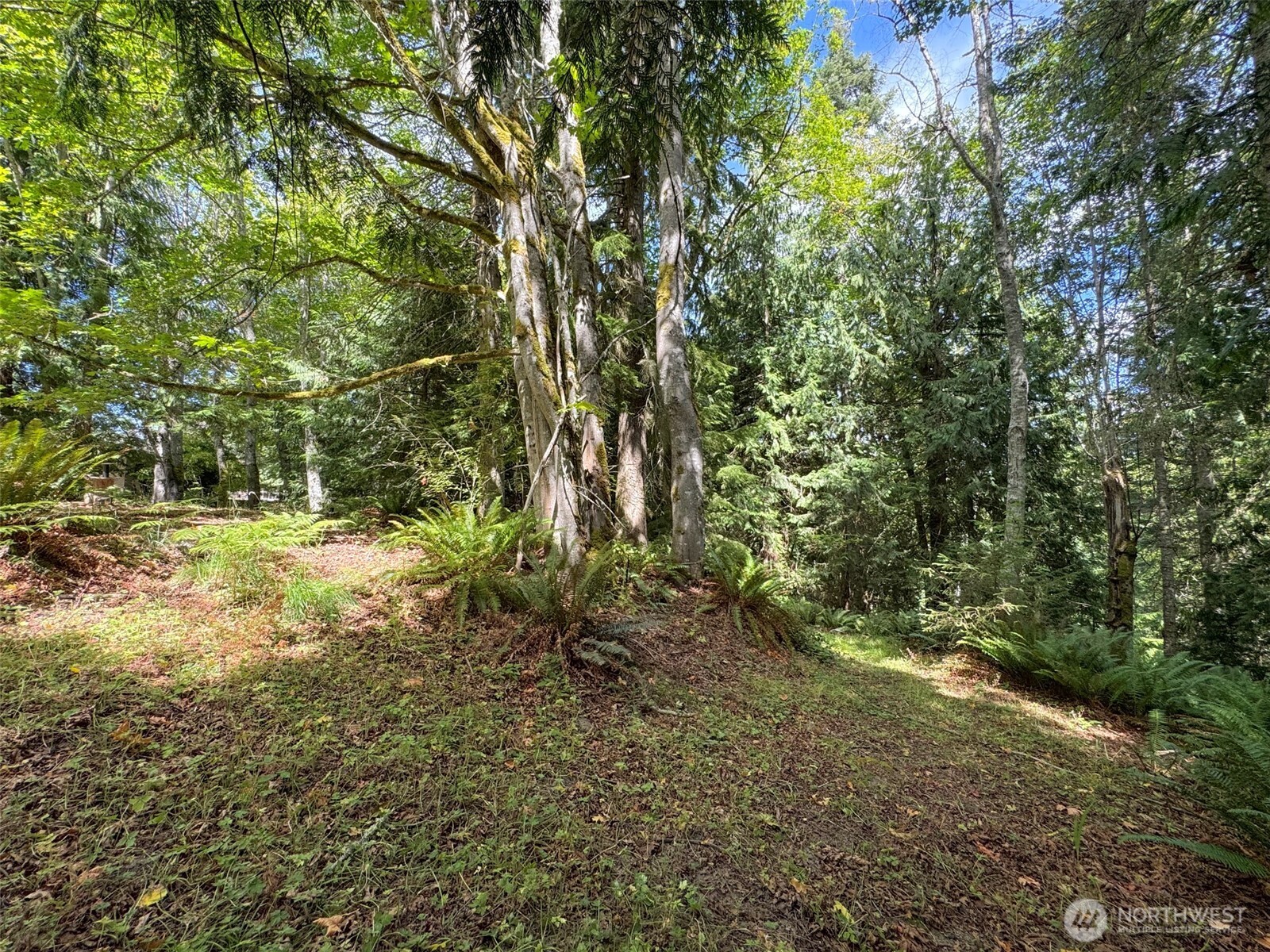 1703 South Golf Course Road Port Angeles, WA 98362 - Photo 38 of 39