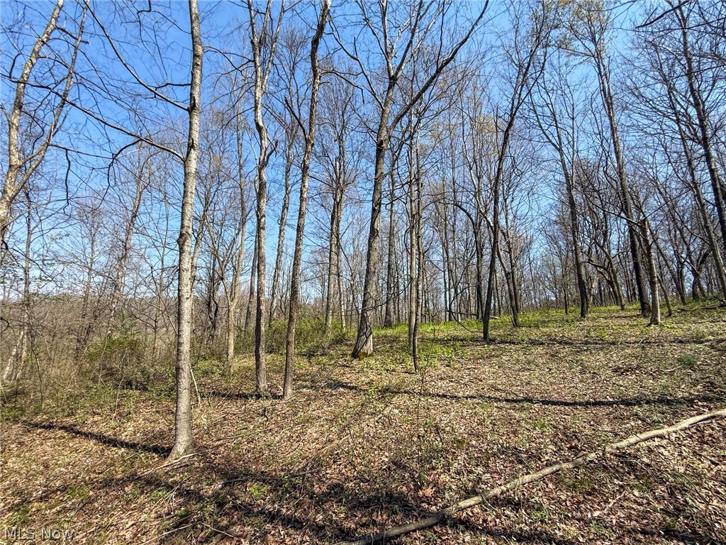 Claysville Road Cumberland, OH 43732 - Photo 25 of 47