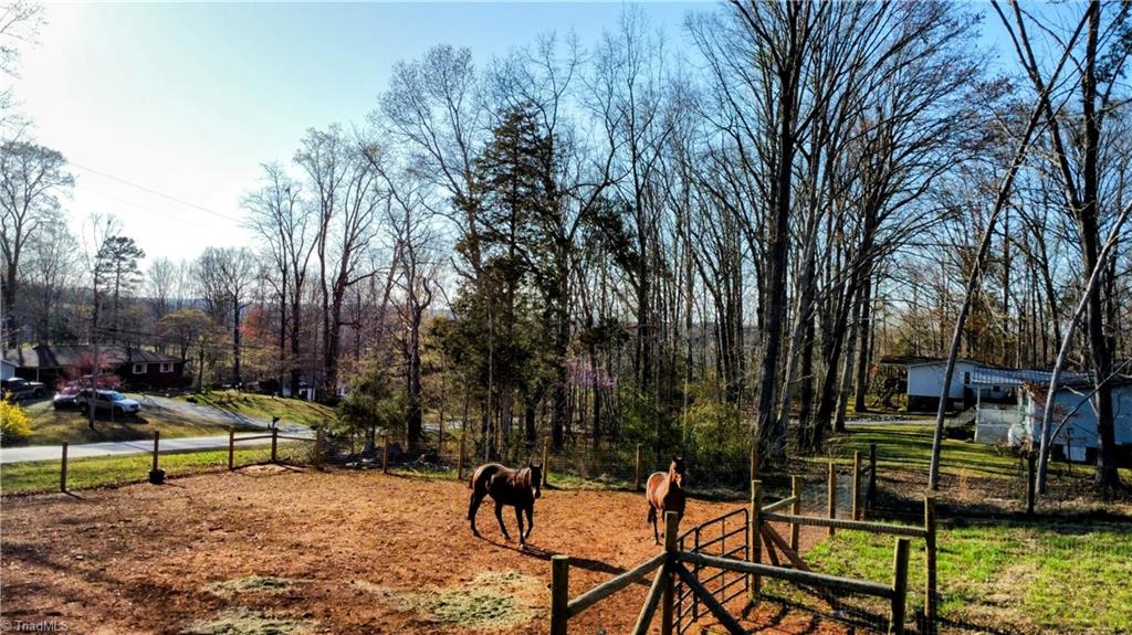 4766 Kennedy Road Trinity, NC 27370 - Photo 21 of 32 Keep your furry friends home with you - just enough pasture without having too much to maintain