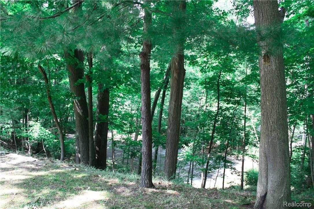 34000 Quaker Valley Road Farmington, MI 48331 - Photo 6 of 34 Private Oasis