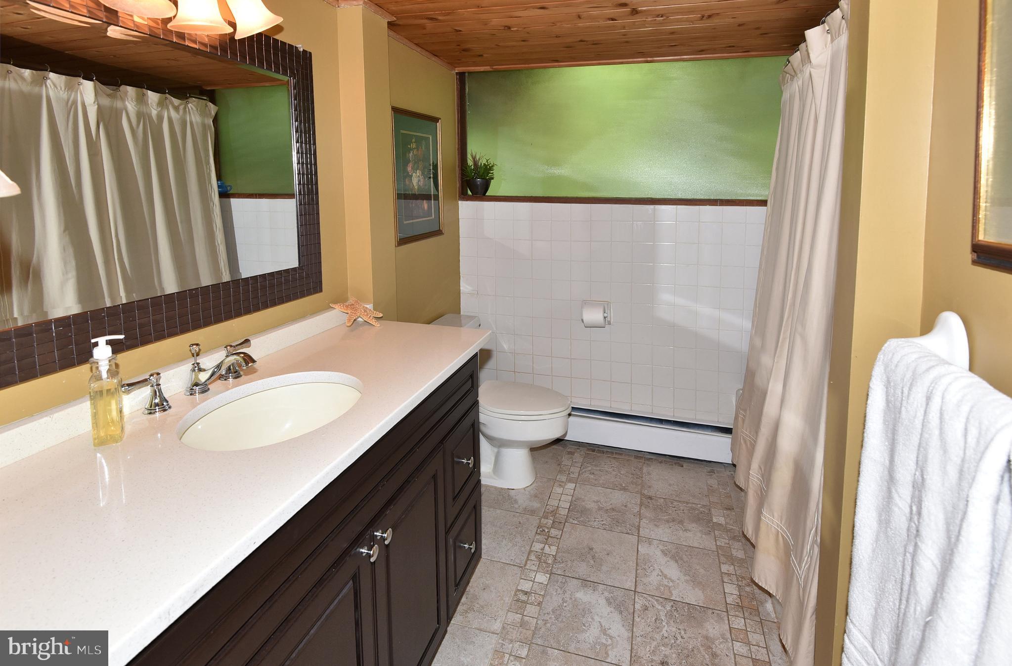 514 Epping Forest Road Annapolis, MD 21401 - Photo 30 of 53 Lower Level Full Bathroom