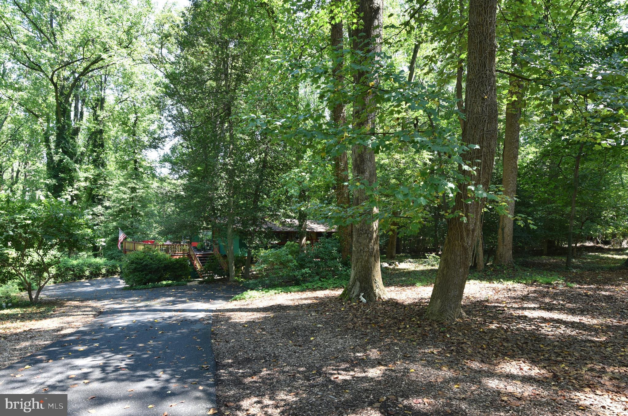 514 Epping Forest Road Annapolis, MD 21401 - Photo 32 of 53 Lots of space to Park Several Cars.