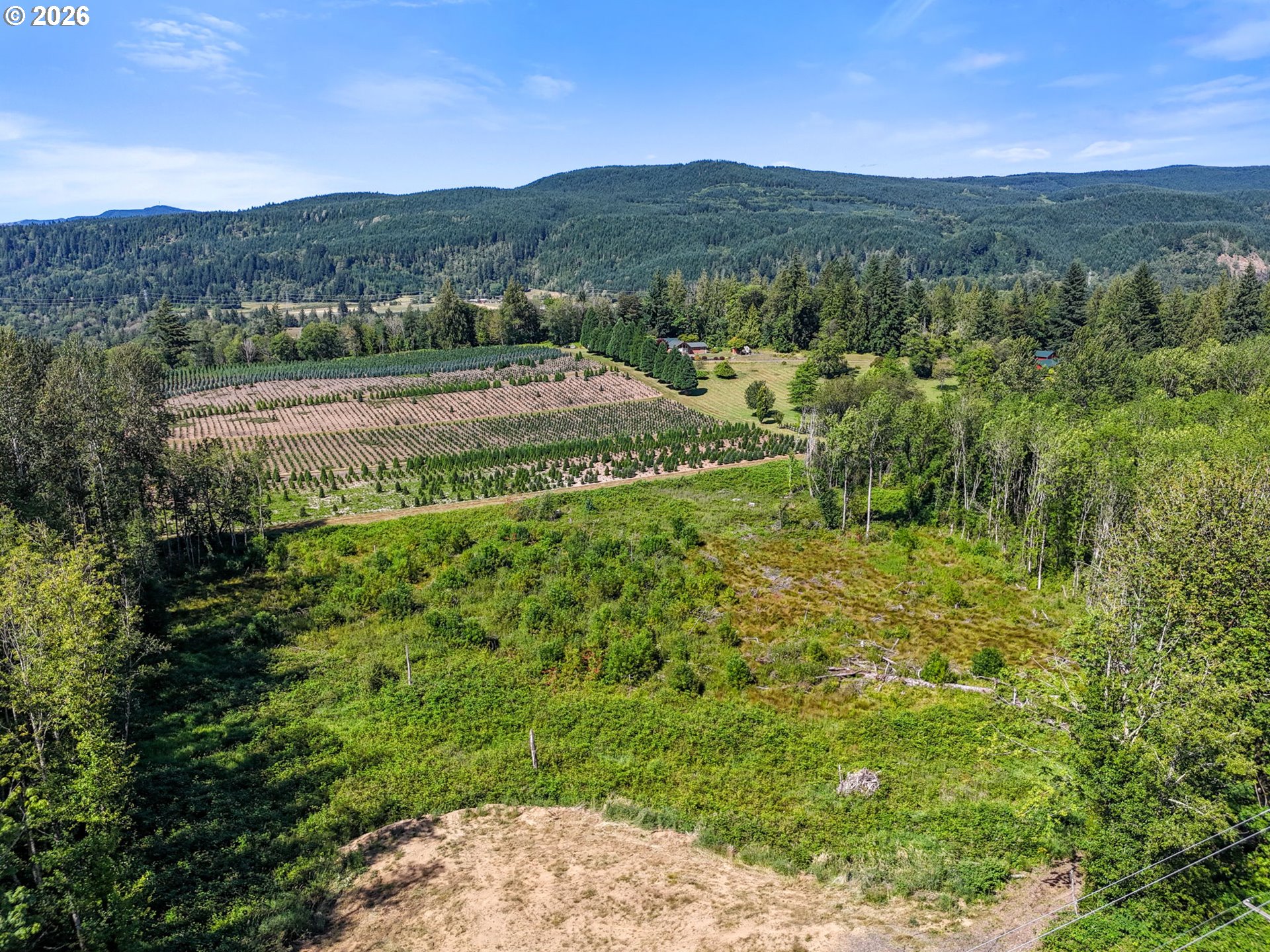 233 Young Road Mossyrock, WA 98564 - Photo 10 of 12 Gallery Image 10