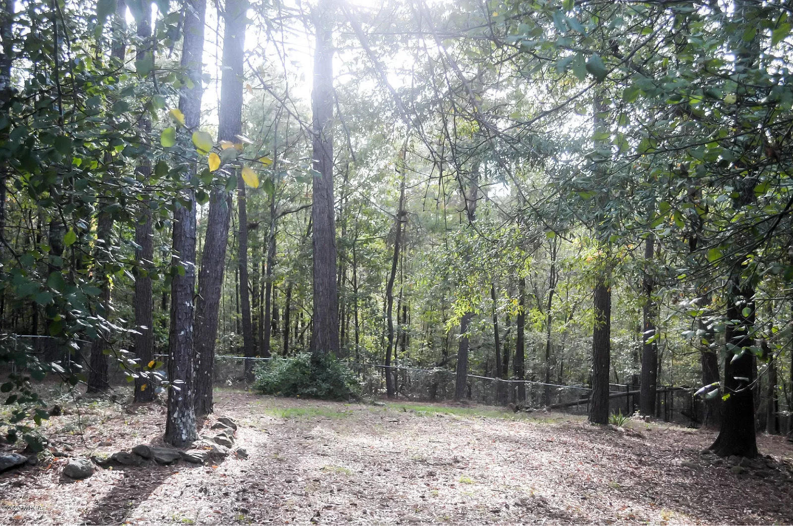 17 Old Benton Road Juliette, GA 31046 - Photo 19 of 19 a view of outdoor space and trees