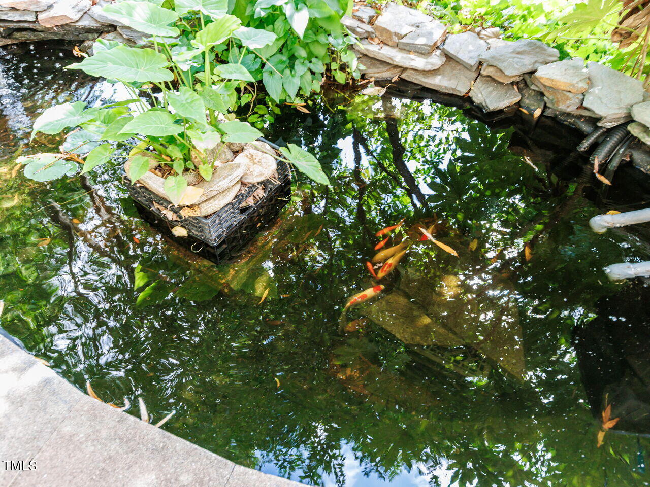 4613 Wee Burn Trail Raleigh, NC 27612 - Photo 10 of 49 Koi pond