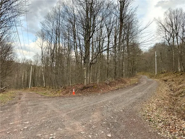 $38,000 | Madigan Lane, Roscoe, NY 12776