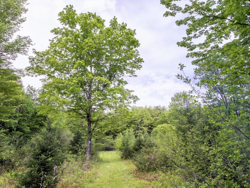 239 Tuttle Road Cumberland Center, ME 04021 - Photo 23 of 28 Photo