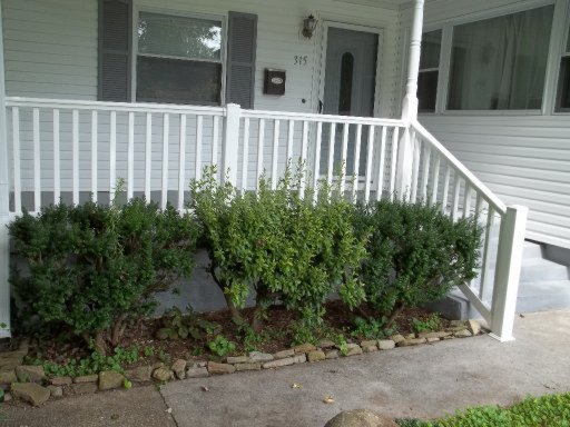 315 East Forest Lane Oak Ridge, TN 37830 - Photo 6 of 19 Additional Photo