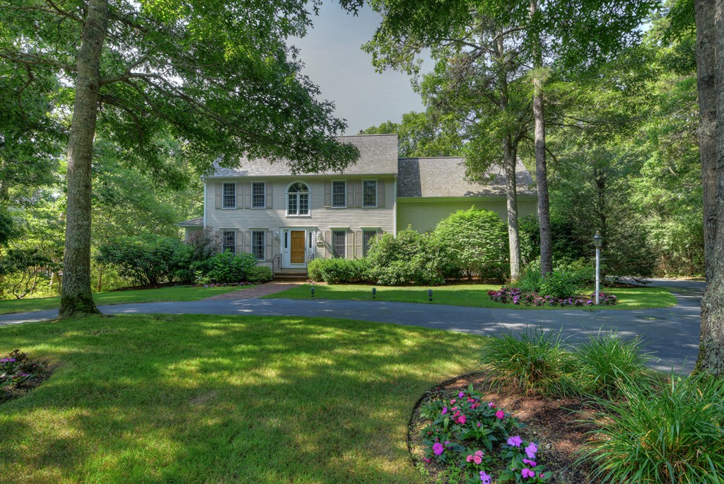 a view of a house with a big yard and potted plants and large trees