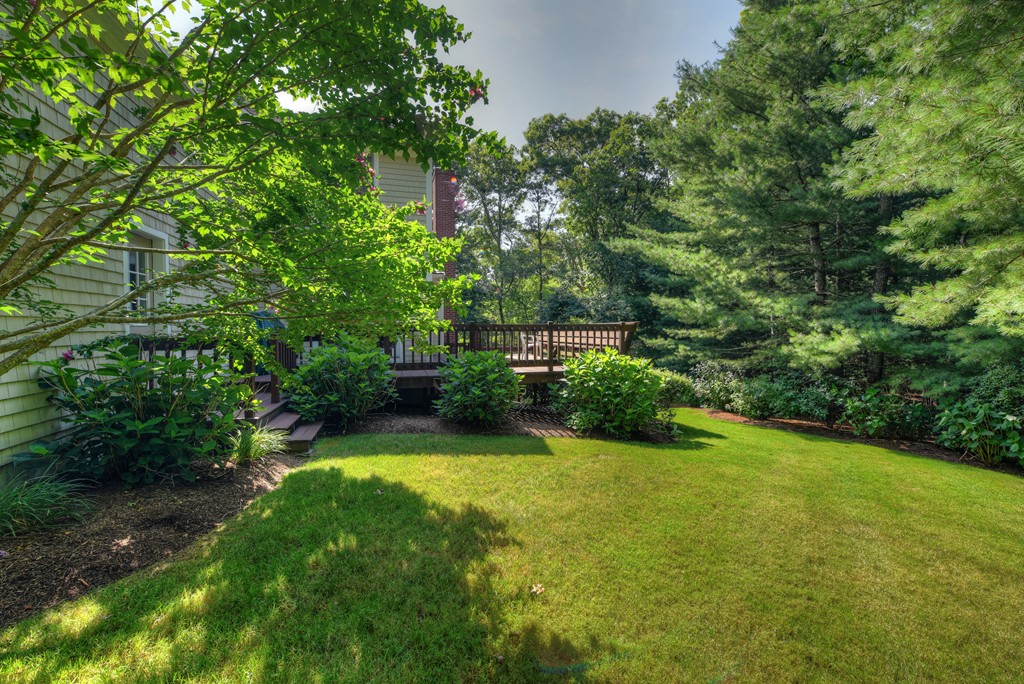 65 Tupelo Road Barnstable, MA 02635 - Photo 4 of 27 a view of a trees with a yard