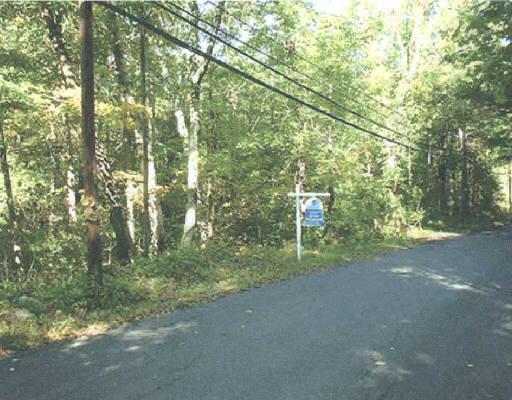 0 Old Turnpike Road East Bridgewater, CT 06752 - Photo 1 of 1 a view of road and trees