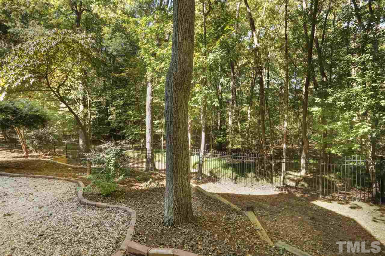19 Covington Lane Durham, NC 27712 - Photo 27 of 30 a view of a forest filled with trees