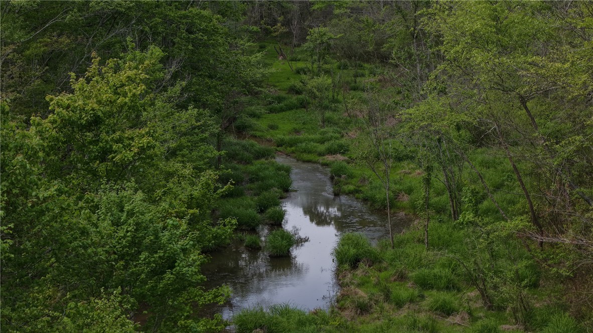 Tbd Slab Bridge Road Liberty, SC 29657 - Photo 6 of 16 A tranquil stream meanders through lush, green foliage, offering serene natural beauty.