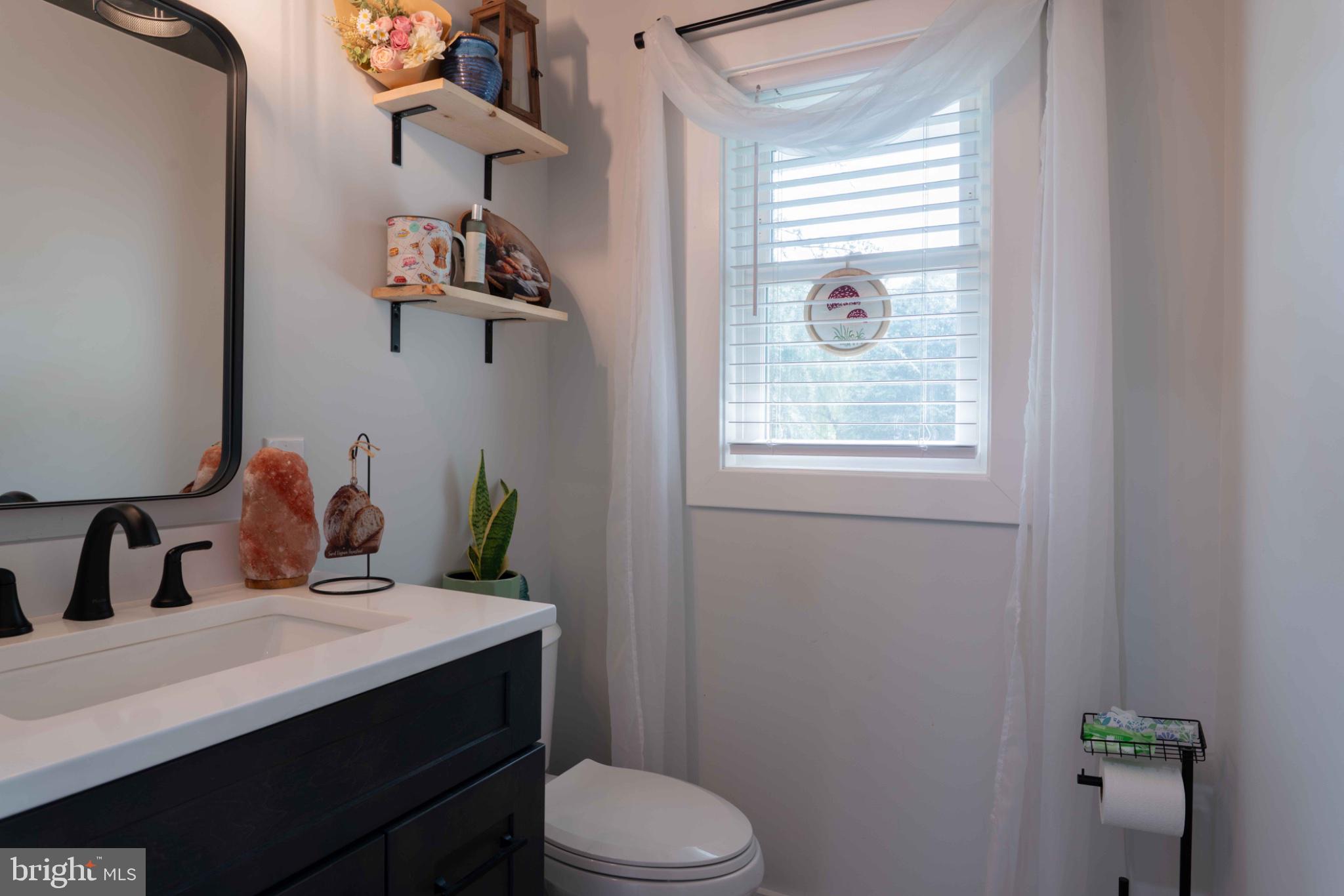 301 North Duey Road Remington, VA 22734 - Photo 14 of 38 Chic bathroom with natural light.