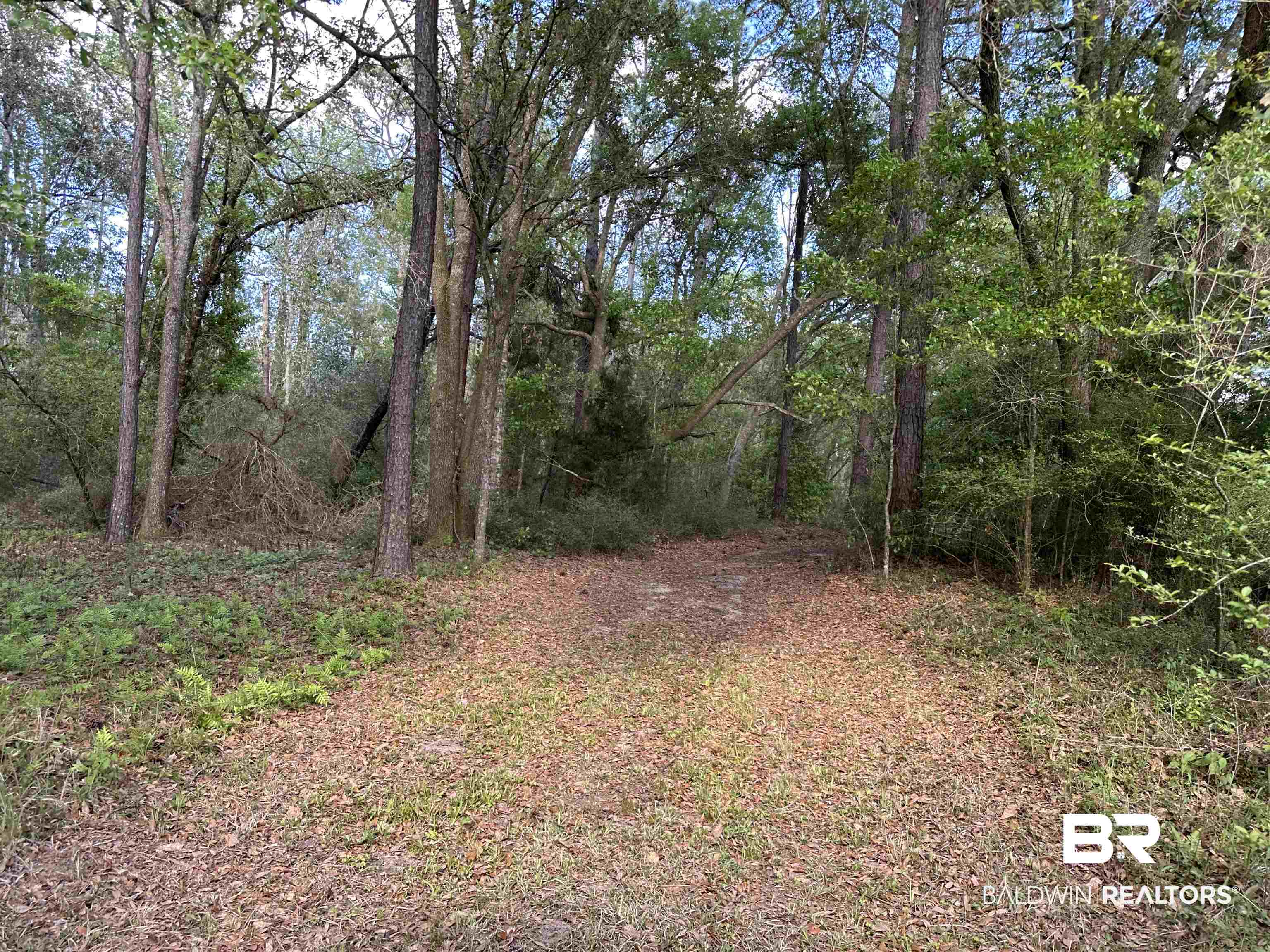 20430 Baldwin Beach Expressway Summerdale, AL 36580 - Photo 12 of 42