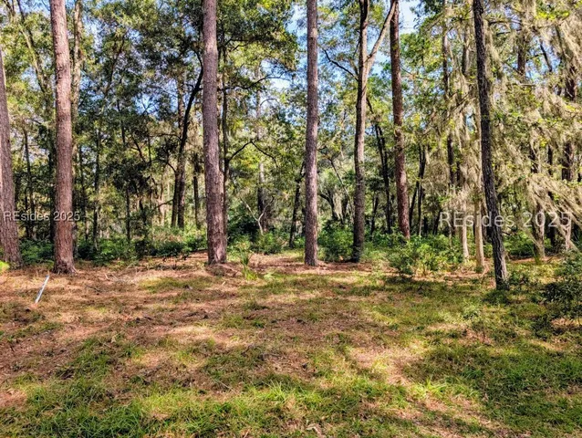 $25,000 | 48 Volunteers Ridge, Daufuskie Island, SC 29915