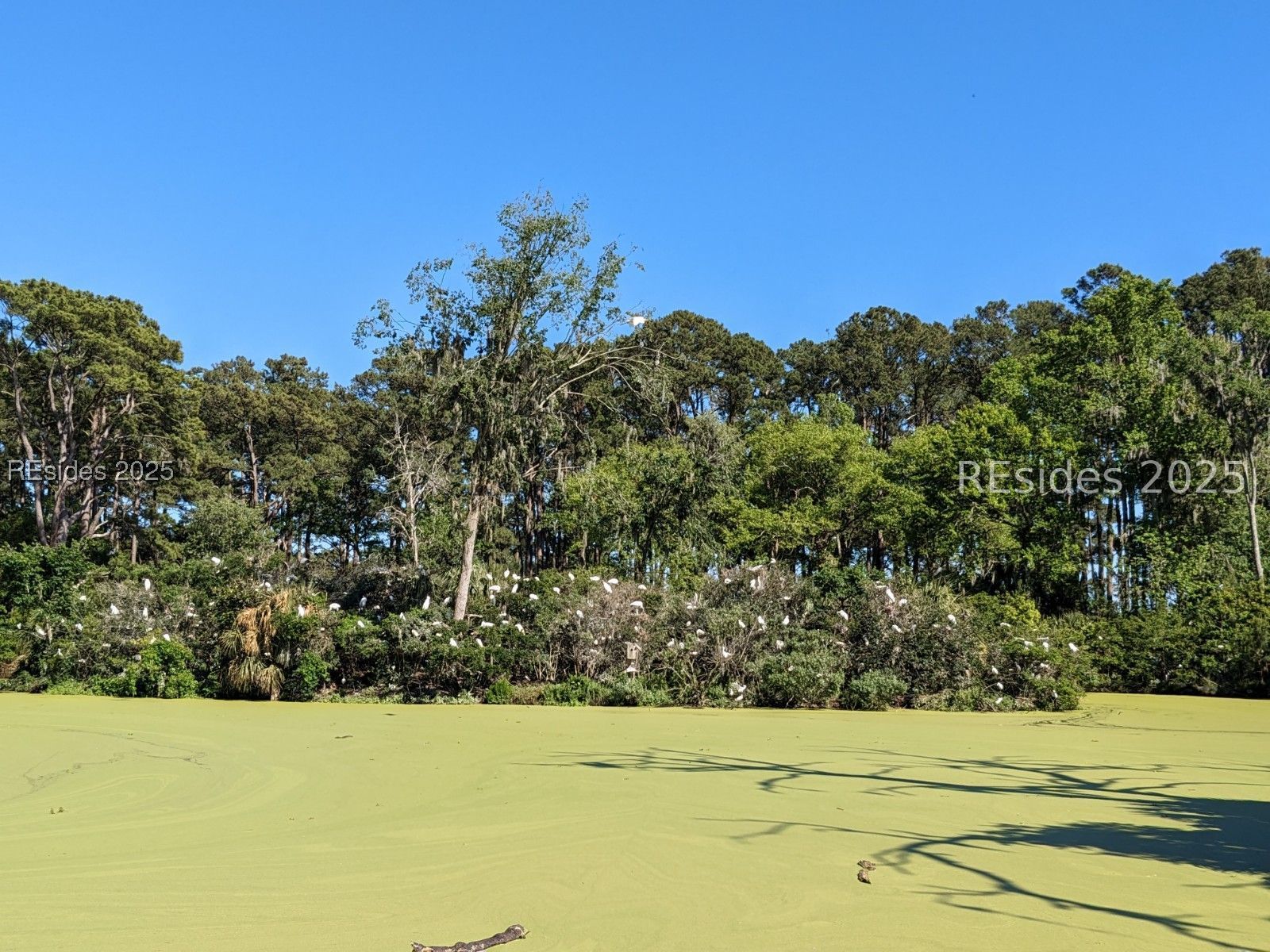 48 Volunteers Ridge Daufuskie Island, SC 29915 - Photo 14 of 24