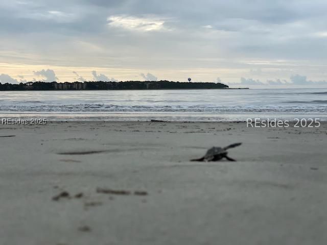 48 Volunteers Ridge Daufuskie Island, SC 29915 - Photo 18 of 24