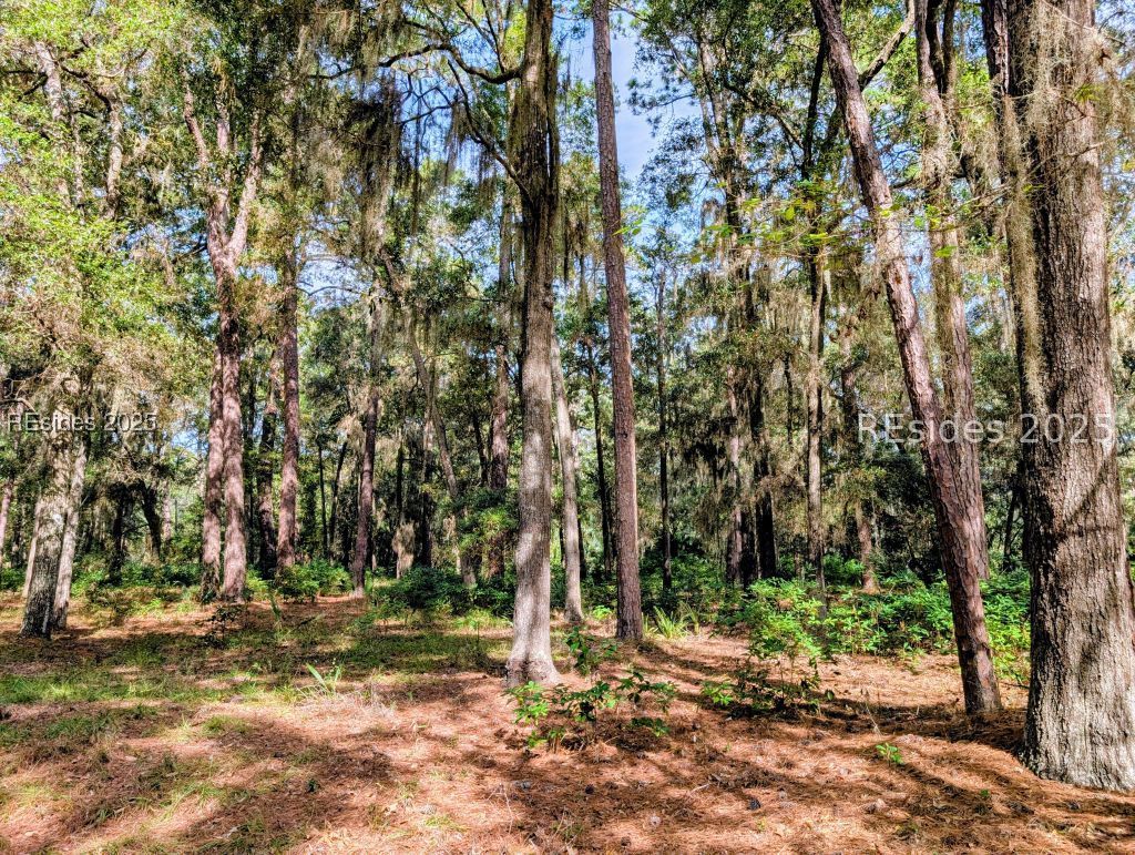 48 Volunteers Ridge Daufuskie Island, SC 29915 - Photo 2 of 24