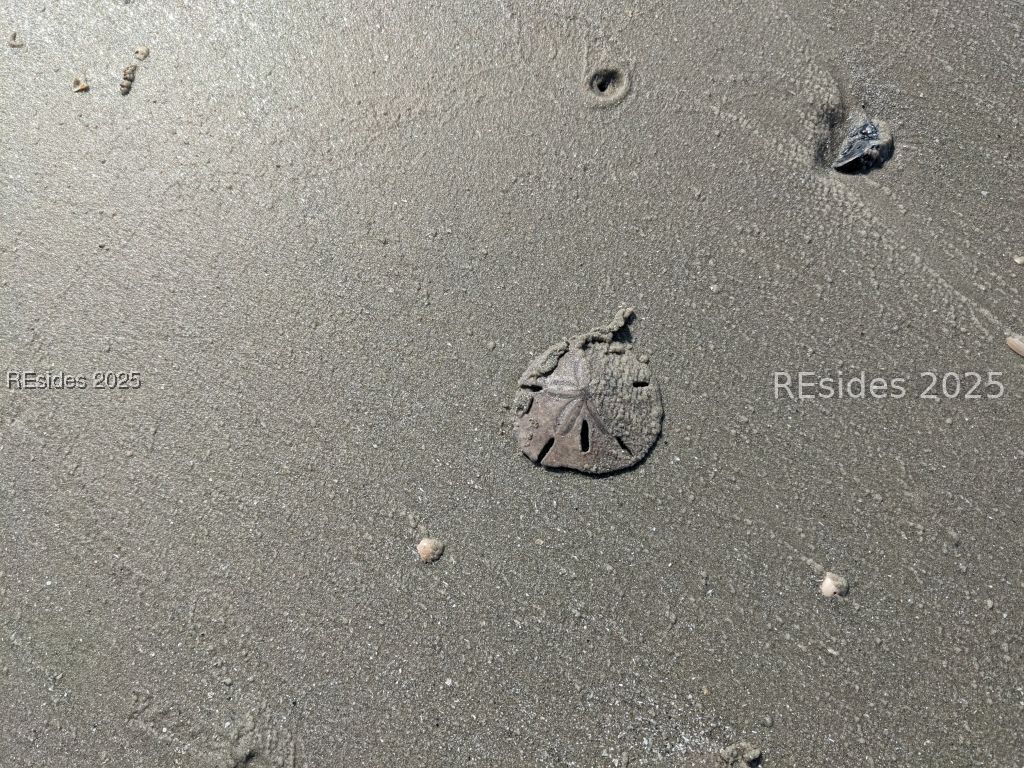 48 Volunteers Ridge Daufuskie Island, SC 29915 - Photo 21 of 24