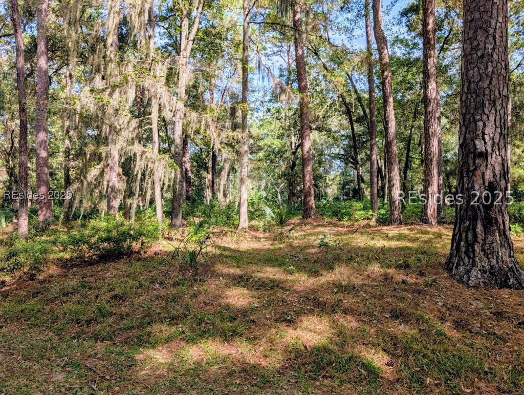 48 Volunteers Ridge Daufuskie Island, SC 29915 - Photo 3 of 24