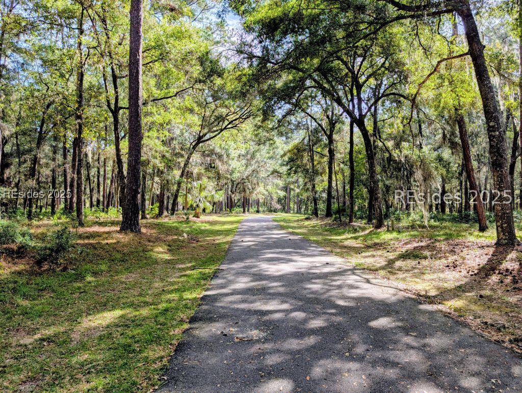 48 Volunteers Ridge Daufuskie Island, SC 29915 - Photo 4 of 24