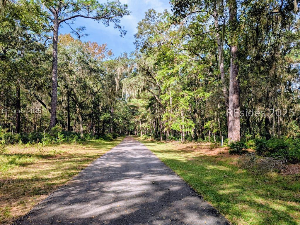48 Volunteers Ridge Daufuskie Island, SC 29915 - Photo 5 of 24