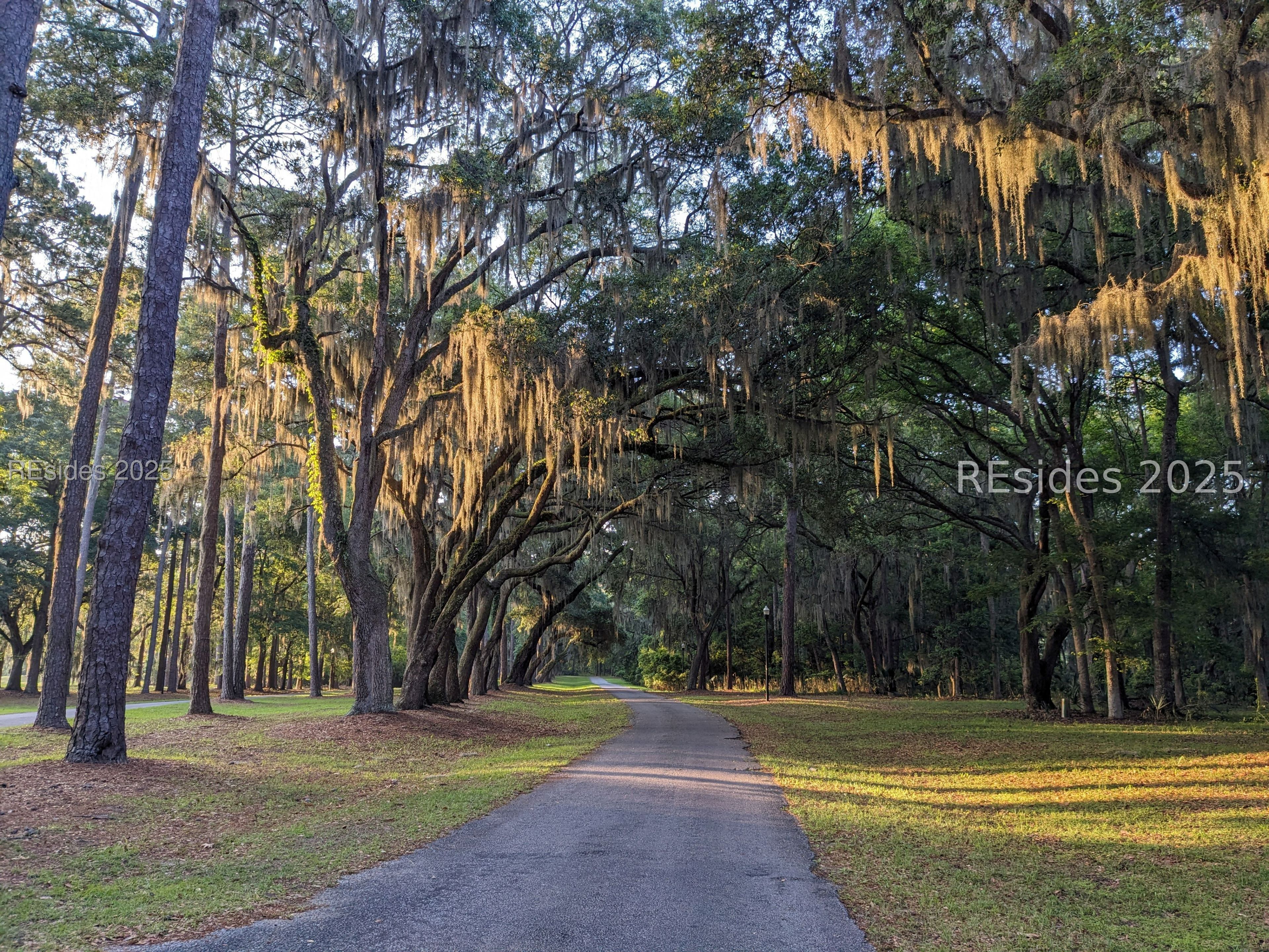 48 Volunteers Ridge Daufuskie Island, SC 29915 - Photo 7 of 24